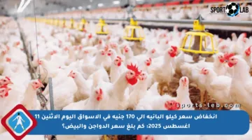 انخفاض سعر كيلو البانية إلى 170 جنيه في الأسواق اليوم الإثنين 11 أغسطس 2025: كم بلغ سعر الدواجن والبيض؟